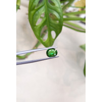 1.73 Ct. Tsavorite Garnet from East Africa Life Style