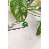 1.58 Ct. Tsavorite Garnet from East Africa Life Style