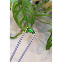 1.73 Ct. Tsavorite Garnet from East Africa Life Style