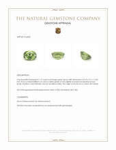 1.27 Ct. Green Zircon from Ceylon (Sri Lanka) Appraisal