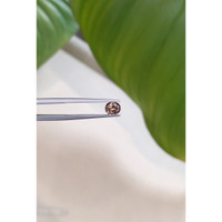 0.95 Ct. Zircon from Ceylon (Sri Lanka) Life Style