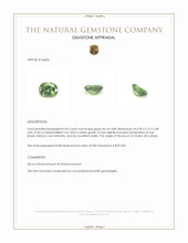 0.95 Ct. Green Zircon from Ceylon (Sri Lanka) Appraisal