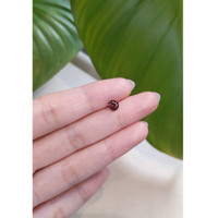 1.07 Ct. Zircon from Ceylon (Sri Lanka) Life Style