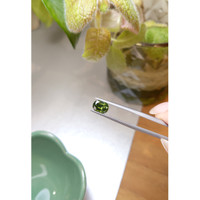 1.44 Ct. Zircon from Ceylon (Sri Lanka) Life Style