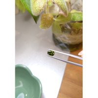 0.98 Ct. Zircon from Ceylon (Sri Lanka) Life Style