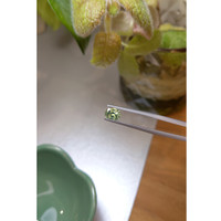 1.23 Ct. Zircon from Ceylon (Sri Lanka) Life Style