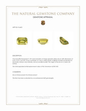 1.09 Ct. Greenish Yellow Zircon from Ceylon (Sri Lanka) Appraisal