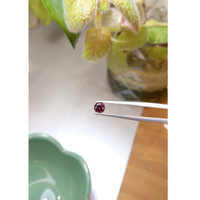 0.77 Ct. Zircon from Ceylon (Sri Lanka) Life Style