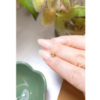 0.78 Ct. Zircon from Ceylon (Sri Lanka) Life Style