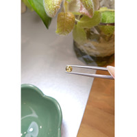 0.78 Ct. Zircon from Ceylon (Sri Lanka) Life Style