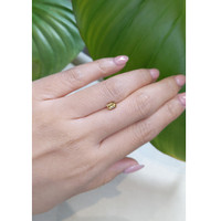 0.65 Ct. Zircon from Ceylon (Sri Lanka) Life Style