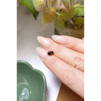 0.97 Ct. Purplish Red Zircon from Ceylon (Sri Lanka) Life Style