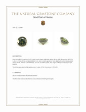 0.93 Ct. Yellowish Green Zircon from Ceylon (Sri Lanka) Appraisal