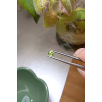 0.86 Ct. Yellowish Green Zircon from Ceylon (Sri Lanka) Life Style