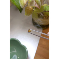 0.85 Ct. Yellowish Brown Zircon from Ceylon (Sri Lanka) Life Style