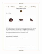 0.73 Ct. Brown Zircon from Ceylon (Sri Lanka) Appraisal