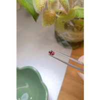 0.73 Ct. Zircon from Ceylon (Sri Lanka) Life Style