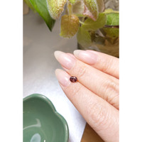 0.73 Ct. Zircon from Ceylon (Sri Lanka) Life Style