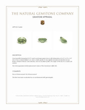 0.97 Ct. Green Zircon from Ceylon (Sri Lanka) Appraisal