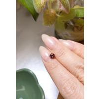 0.87 Ct. Zircon from Ceylon (Sri Lanka) Life Style