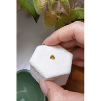 0.69 Ct. Zircon from Ceylon (Sri Lanka) Life Style