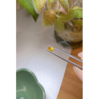 0.56 Ct. Zircon from Ceylon (Sri Lanka) Life Style