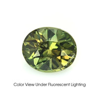 0.78 Ct. Alexandrite from Madagascar Video