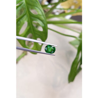 1.64 Ct. Tsavorite Garnet from East Africa Life Style