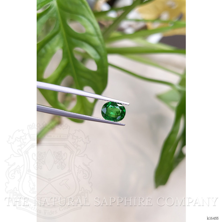 1.64 Ct. Tsavorite Garnet from East Africa