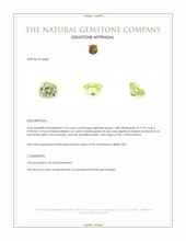 1.65 Ct. Yellowish Green Mali Garnet from West Africa Appraisal