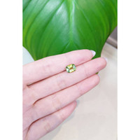 2.11 Ct. Tourmaline from Mozambique Life Style