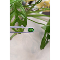 1.52 Ct. Tsavorite Garnet from East Africa Life Style