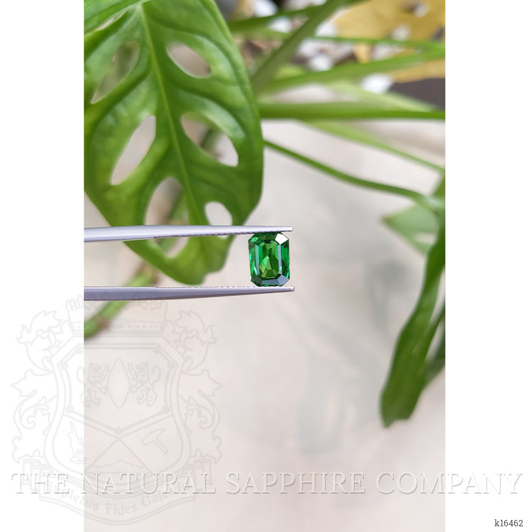 1.73 Ct. Tsavorite Garnet from East Africa