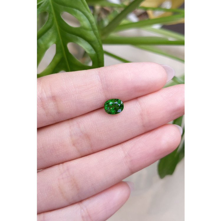 1.46 Ct. Tsavorite Garnet from East Africa
