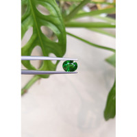 1.46 Ct. Tsavorite Garnet from East Africa Life Style