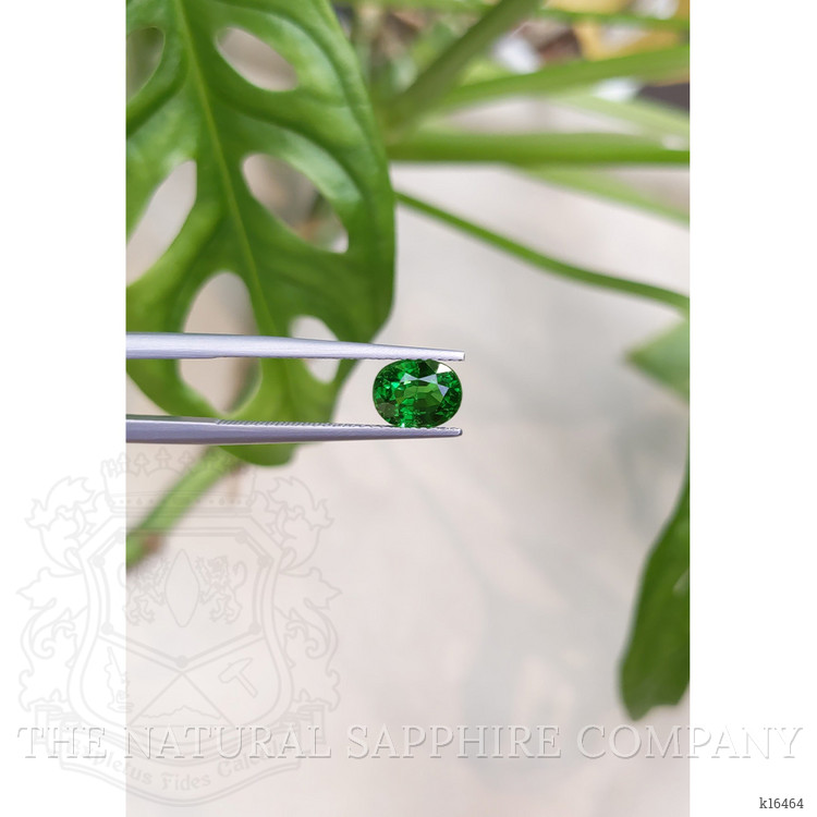 1.46 Ct. Tsavorite Garnet from East Africa