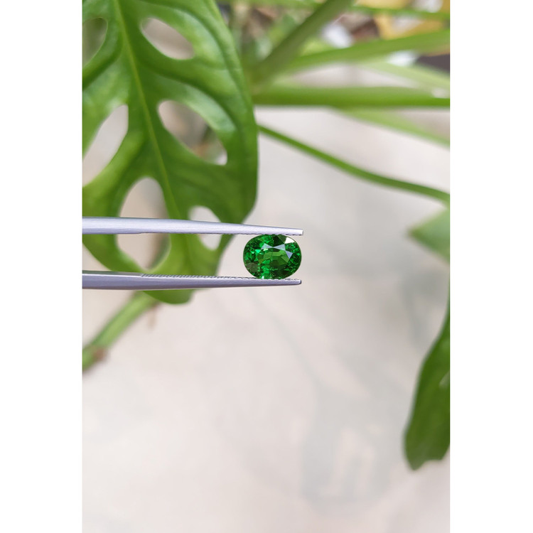 1.46 Ct. Tsavorite Garnet from East Africa