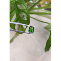 1.55 Ct. Tsavorite Garnet from East Africa Life Style