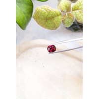 3.44 Ct. Rhodolite Garnet from Madagascar Life Style