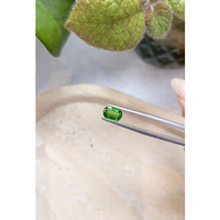 1.32 Ct. Tsavorite Garnet from East Africa Life Style