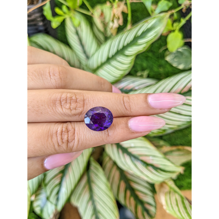 6.74 Ct. Amethyst from Brazil