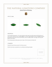 1.49 Ct. Tsavorite Garnet from East Africa Appraisal