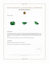 1.42 Ct. Tsavorite Garnet from East Africa Appraisal
