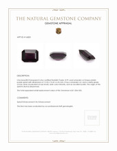 8.99 Ct. Spinel from Burma (Myanmar) Appraisal
