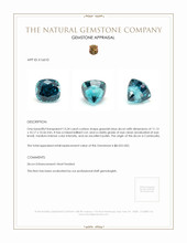 13.24 Ct. Greenish Blue Zircon from Cambodia Appraisal