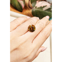 6.49 Ct. Sphene (Titanite) from Madagascar Life Style