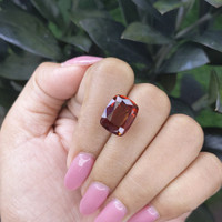 13.70 Ct. Garnet from Tanzania Life Style