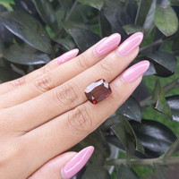 13.70 Ct. Garnet from Tanzania Life Style