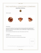 4.63 Ct. Reddish Orange Spessartite Garnet from Madagascar Appraisal