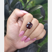 12.76 Ct. Garnet from Madagascar Life Style
